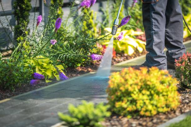 Best Driveway Pressure Washing  in Holiday City Berkeley, NJ